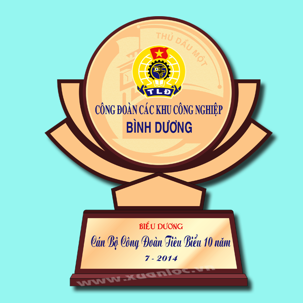 Kỷ niệm chương gỗ đồng