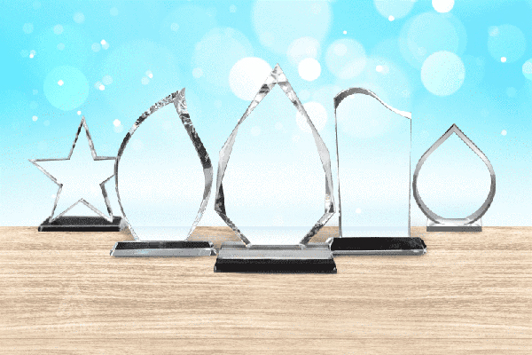 Nhận thiết kế kỷ niệm chương theo yêu cầu – Gia công kỷ niệm chương giá rẻ